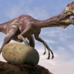 Como este dinossauro chocava ovos sem quebrá-los? Cientistas recriam “incubadora” pré-histórica