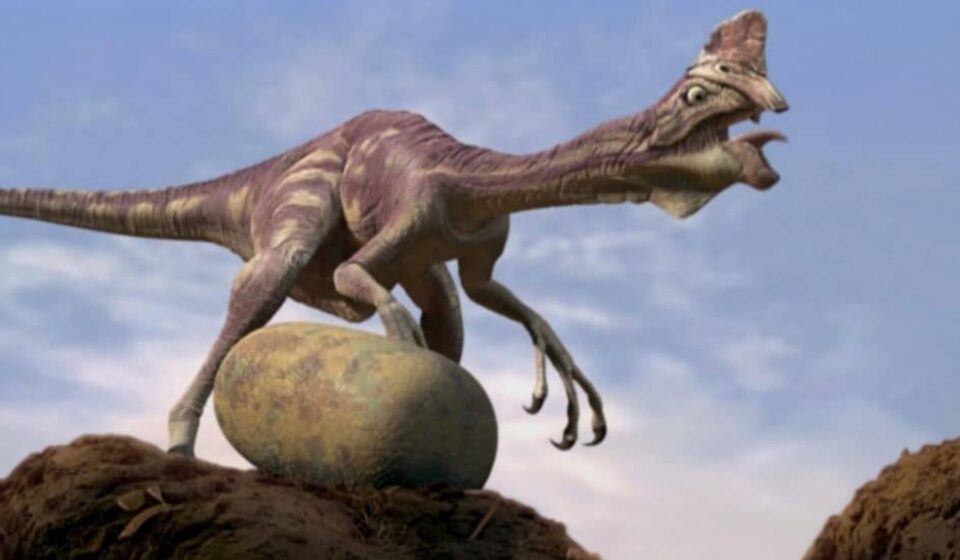 Como este dinossauro chocava ovos sem quebrá-los? Cientistas recriam “incubadora” pré-histórica
