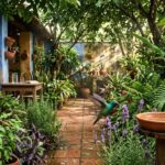 Estas plantas transformam quintal quente em refúgio natural