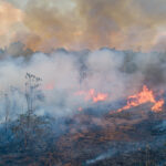 Fogo recorde na Amazônia em 2024 triplica emissões de carbono