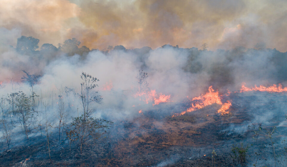 Fogo recorde na Amazônia em 2024 triplica emissões de carbono