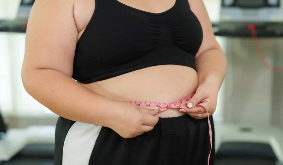 Revolução contra a obesidade: pesquisa com cobras pitóns pode reduzir o apetite