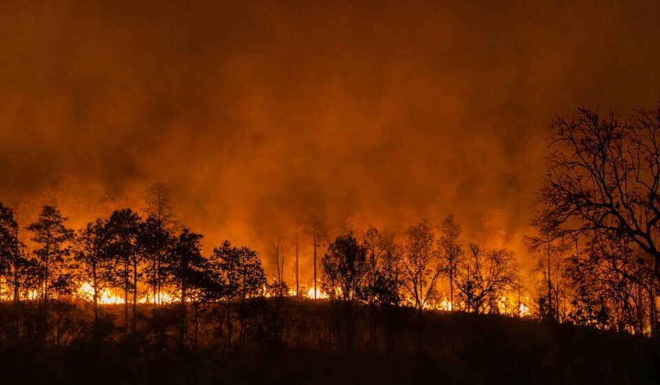 Chances de Super El Niño em 2026 acende alerta para seca, calor e prejuízos no campo