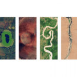 Doodle do Google homenageia Dia da Terra