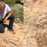 Maior pegada de dinossauro do Brasil é localizada na Paraíba