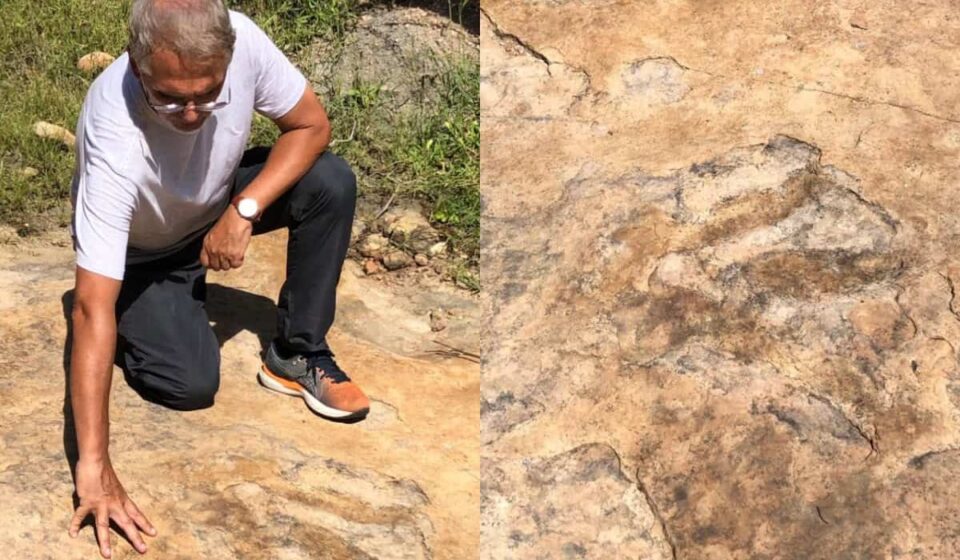 Maior pegada de dinossauro do Brasil é localizada na Paraíba