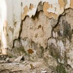 Muro descascando? O erro pode estar escondido na parede