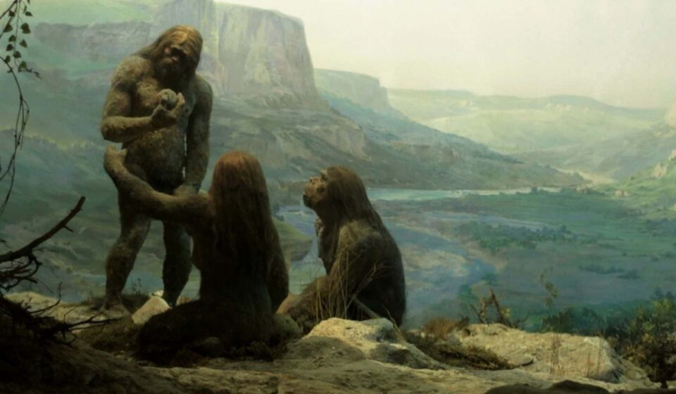 “Neandertal” não deve ser usado de forma pejorativa e aqui está o porquê