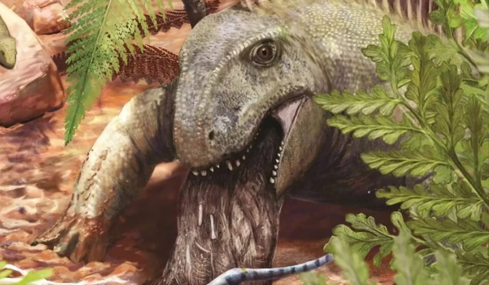 Vômito mais antigo do mundo revela animal de dieta oportunista