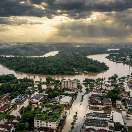 A cidade que cresceu 300%, afunda 4cm por ano e ainda assim representa a última esperança de 390 bilhões de árvores