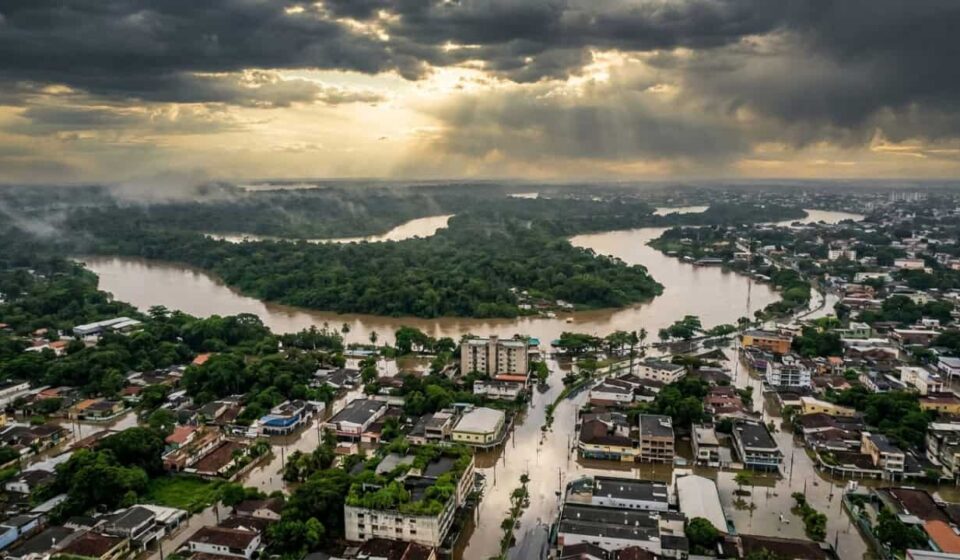 A cidade que cresceu 300%, afunda 4cm por ano e ainda assim representa a última esperança de 390 bilhões de árvores