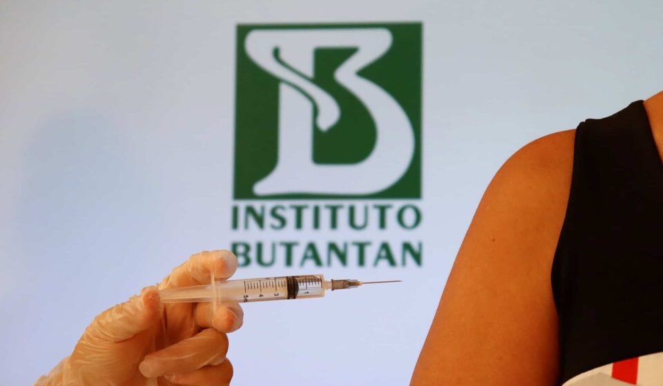 Anvisa autoriza Butantan a produzir no Brasil a vacina contra chikungunya