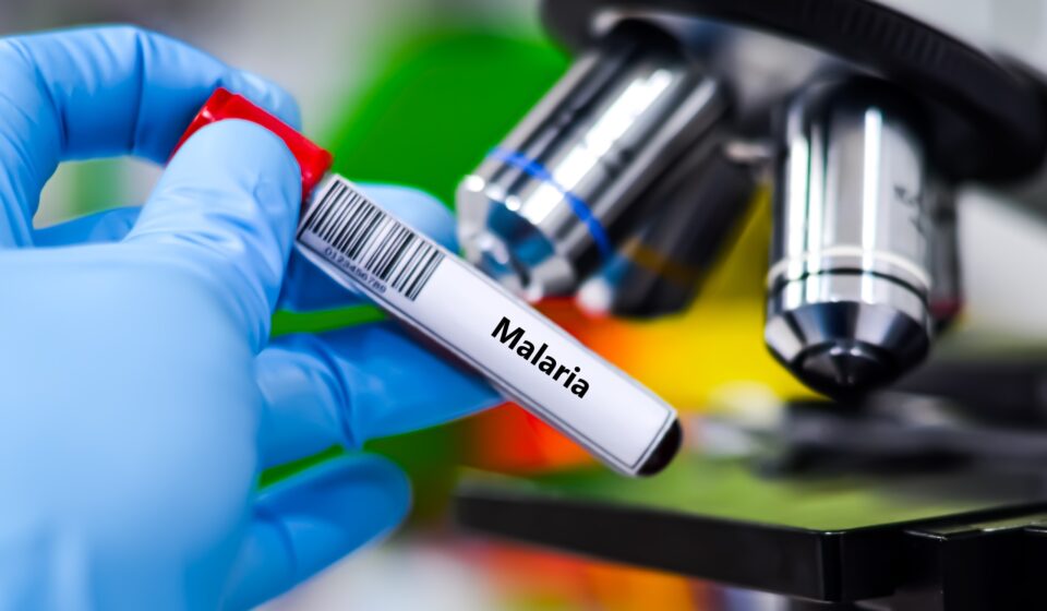 Estudo diz que Malária pode ter moldado evolução humana