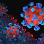 Terapia celular inovadora mantém pacientes livres do vírus HIV por anos