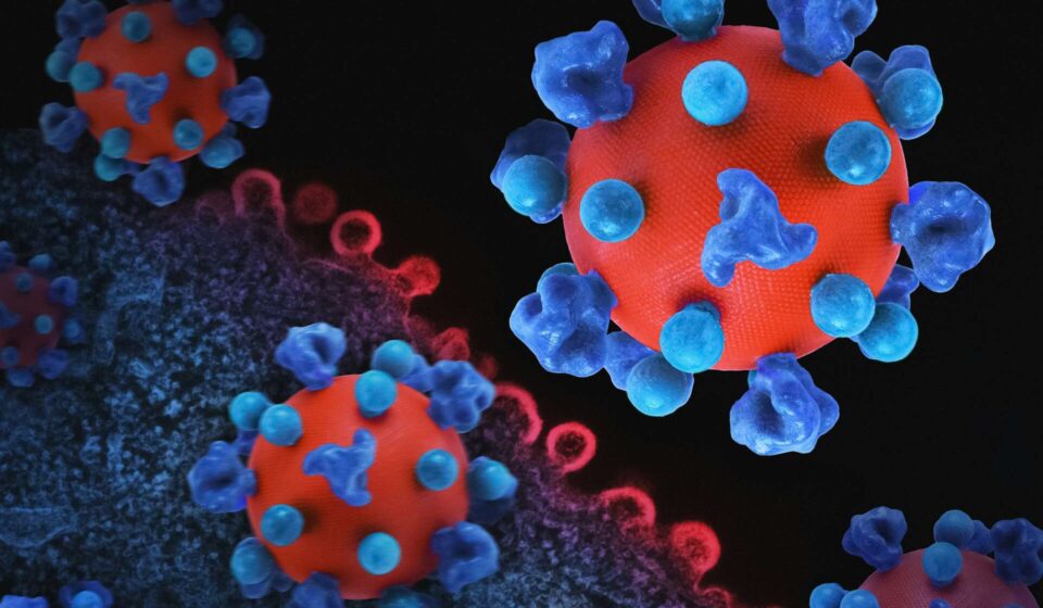 Terapia celular inovadora mantém pacientes livres do vírus HIV por anos
