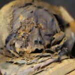 Texto de Homero é encontrado em múmia de 1.600 anos no Egito