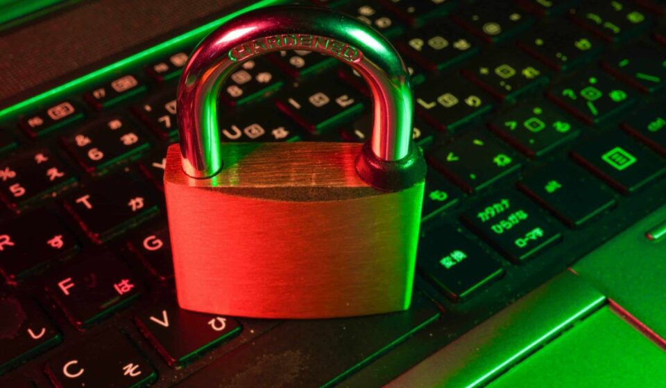 ANPD abre canal para denúncias de descumprimento do ECA Digital