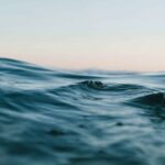 Como a IA e satélites podem ajudar a proteger os oceanos