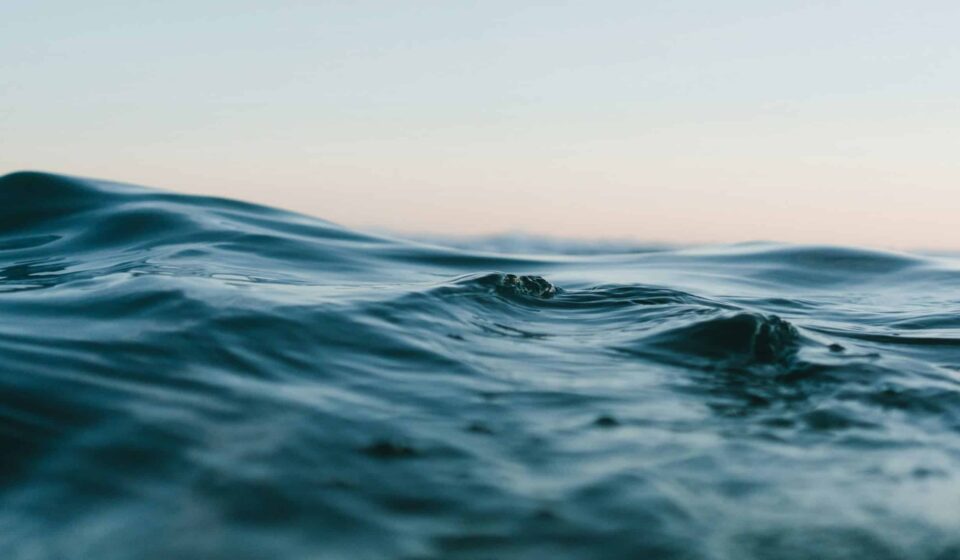 Como a IA e satélites podem ajudar a proteger os oceanos