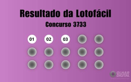 Resultado da Lotofácil de hoje: veja números e ganhadores do concurso 3733 (sábado, 11/07)