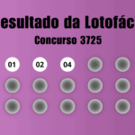 Resultado da Lotofácil de hoje: veja números e ganhadores do concurso 3725 (quinta, 2/07)